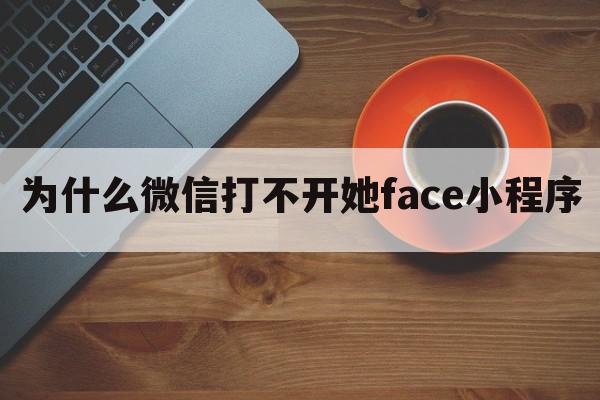 为什么微信打不开她face小程序