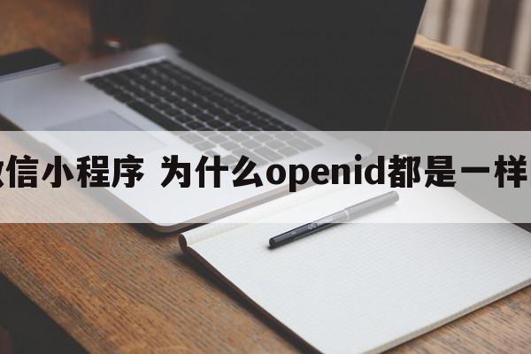 微信小程序 为什么openid都是一样的