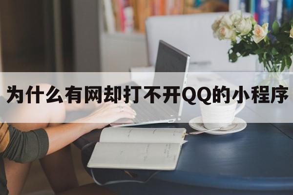 为什么有网却打不开QQ的小程序