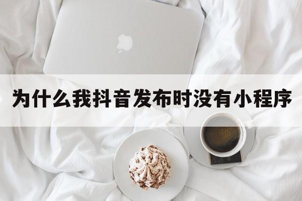 为什么我抖音发布时没有小程序