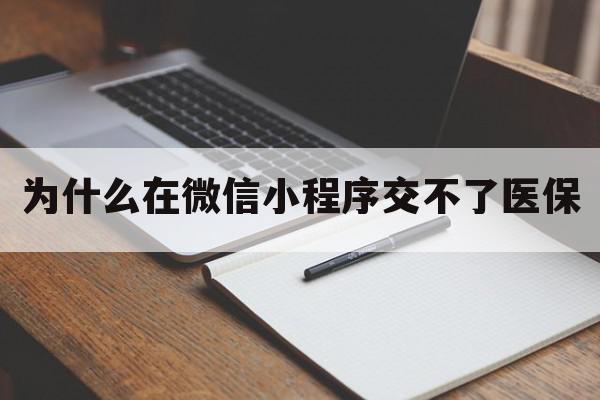 为什么在微信小程序交不了医保