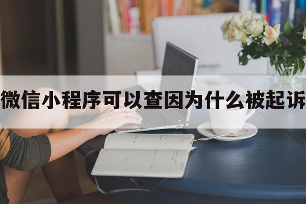 微信小程序可以查因为什么被起诉