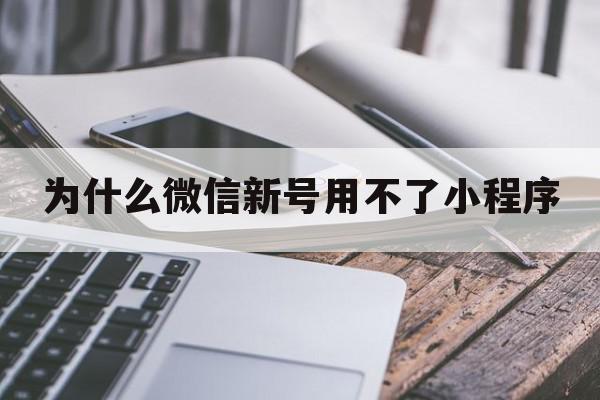 为什么微信新号用不了小程序