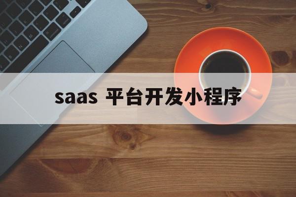 saas 平台开发小程序