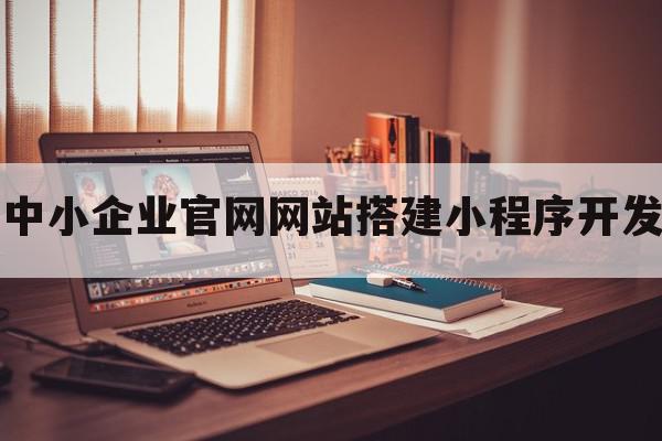 中小企业官网网站搭建小程序开发