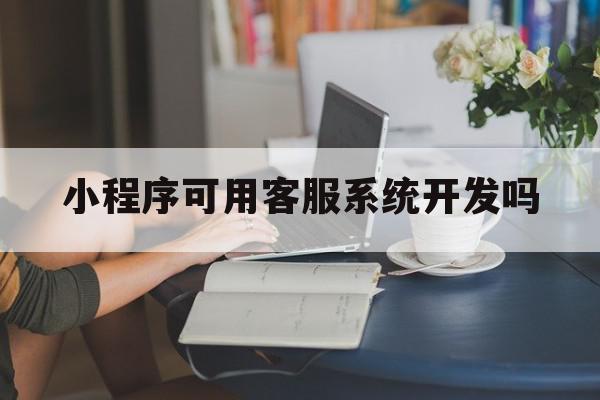 小程序可用客服系统开发吗