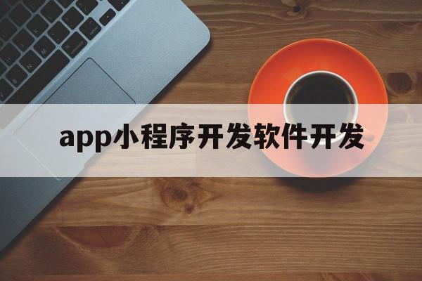 app小程序开发软件开发