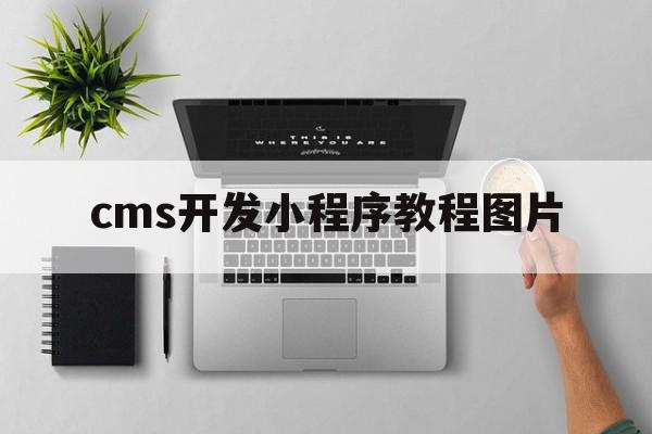 cms开发小程序教程图片