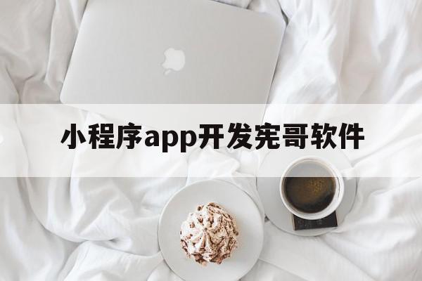 小程序app开发宪哥软件