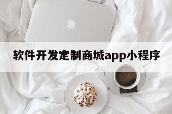 软件开发定制商城app小程序