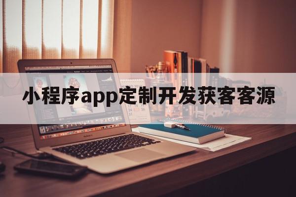 小程序app定制开发获客客源