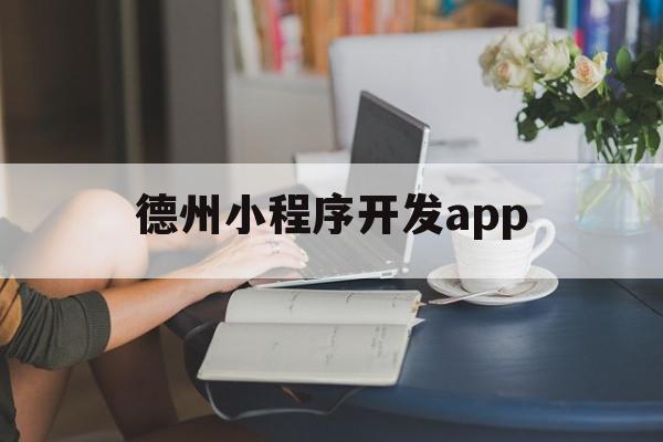 德州小程序开发app