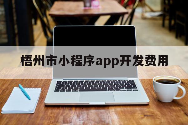 梧州市小程序app开发费用