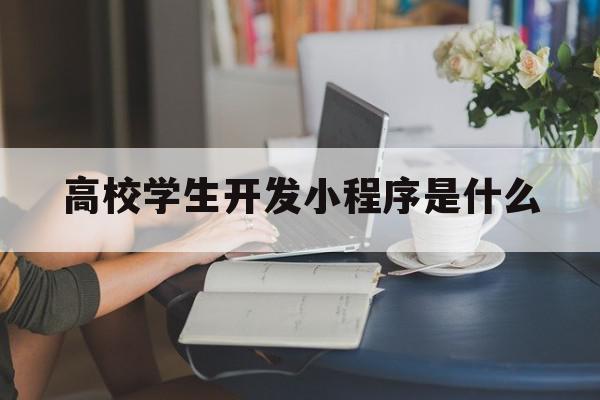 高校学生开发小程序是什么