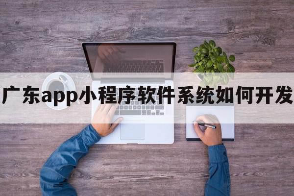 广东app小程序软件系统如何开发