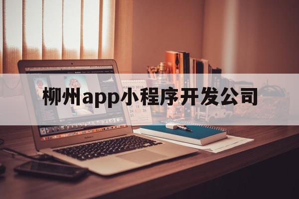 柳州app小程序开发公司