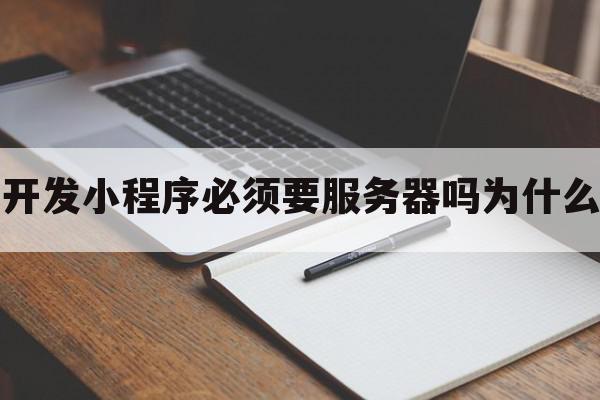 开发小程序必须要服务器吗为什么