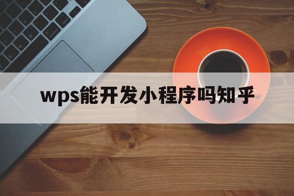 wps能开发小程序吗知乎