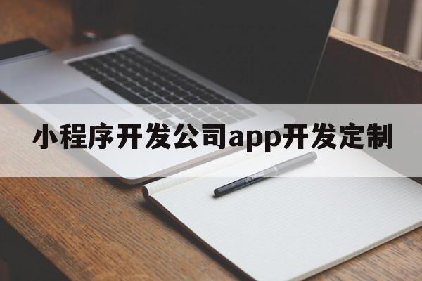 小程序开发公司app开发定制