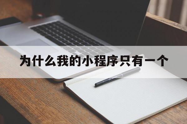 为什么我的小程序只有一个